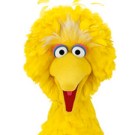 Big Bird