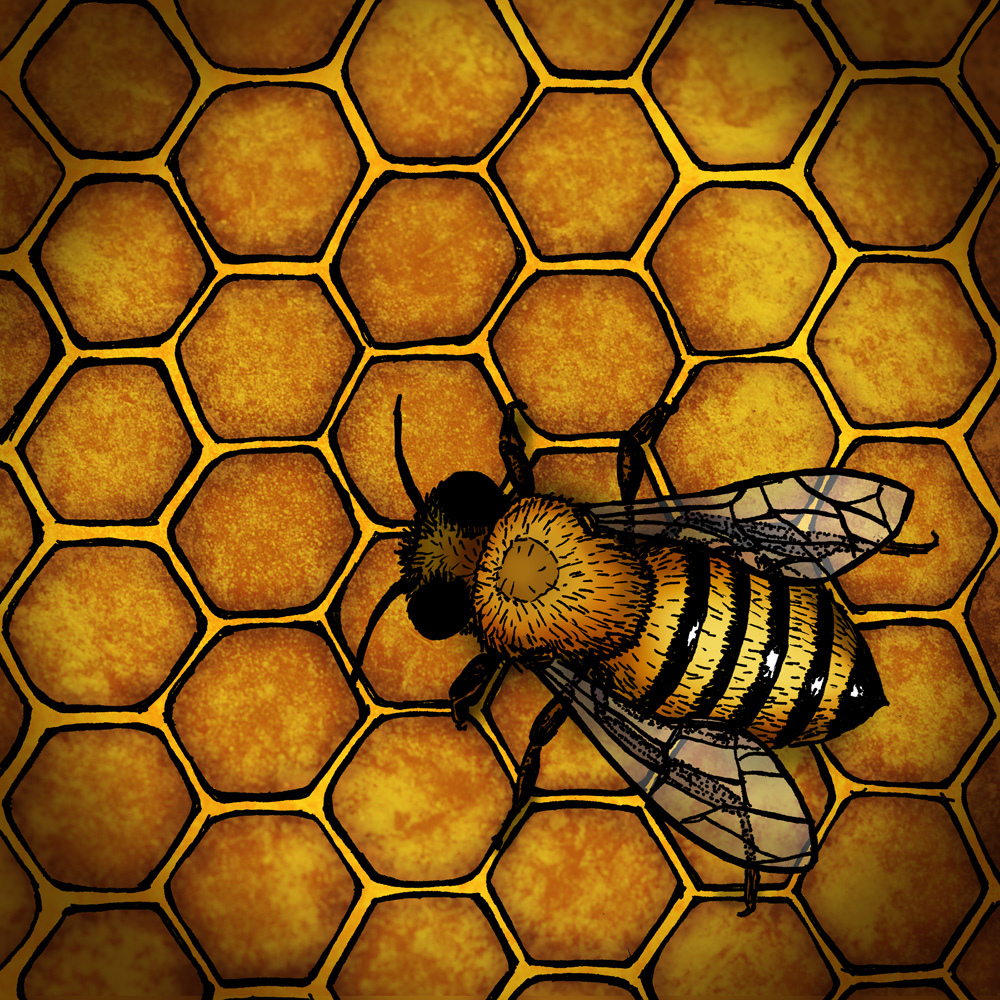 bee