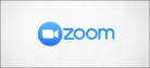 Zoom